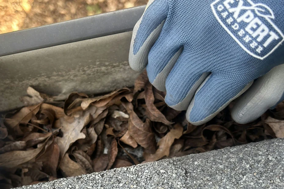 Grandville Gutter Cleaning