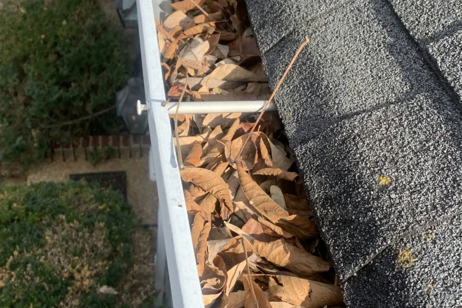 Grandville Gutter Cleaning