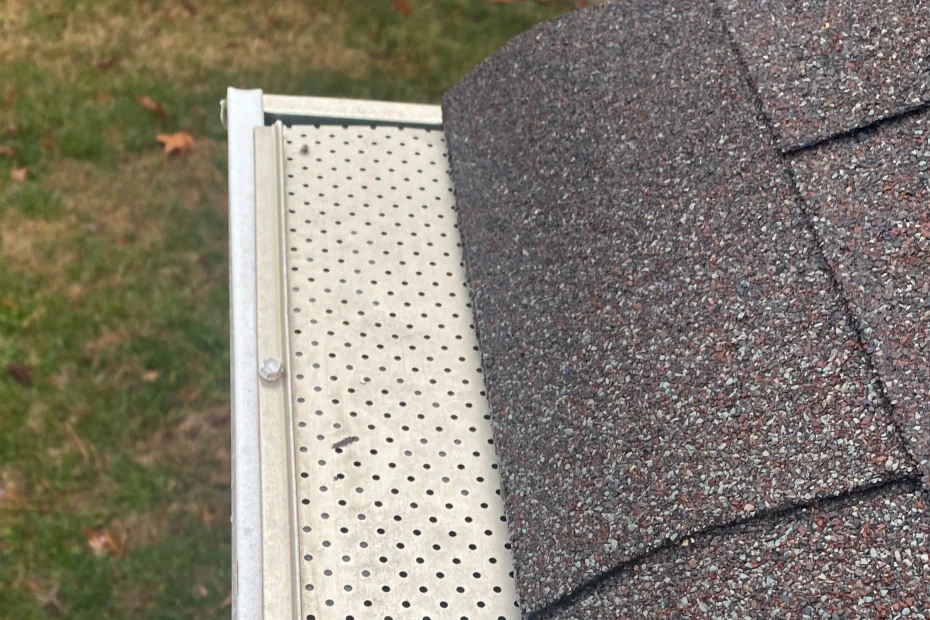 Grandville Gutter Cleaning
